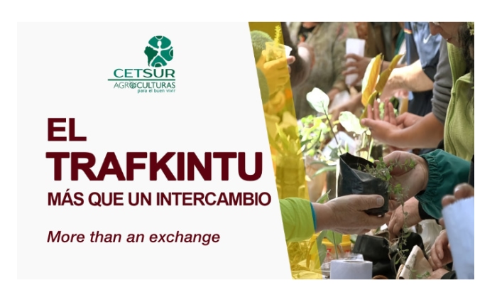Trafkintu