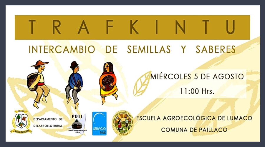 4-Trafkintu slider image